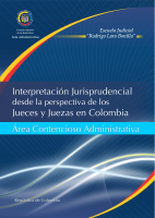 INTERPRETACION JURISPRUDENCIAL ADMINISTRATIVO.pdf